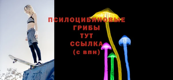 ПСИЛОЦИБИНОВЫЕ ГРИБЫ Володарск